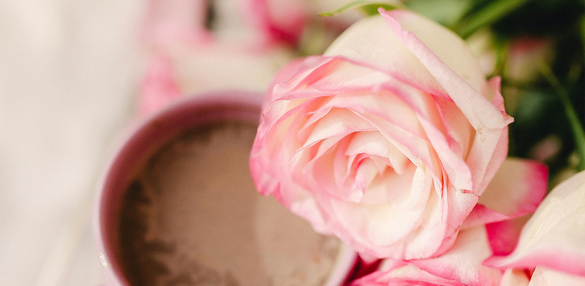 Vaaleanpunainen ruusu ja taustalla kahvikuppi.